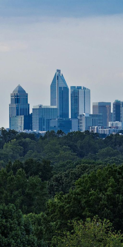 City skyline above a tree canopy